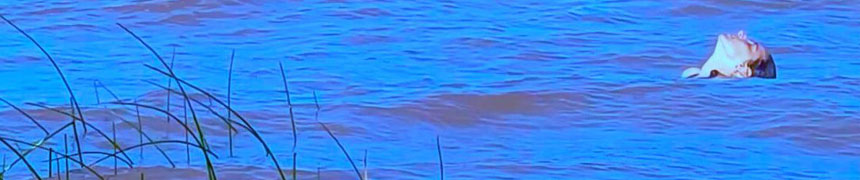 Sirenas del Litoral